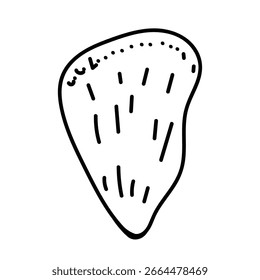 Boceto de concha de mar orgánica con líneas de Vector limpias.