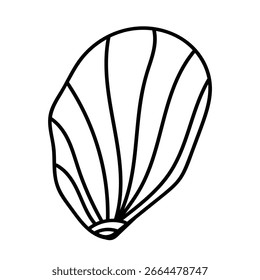 Organische Muschelskizze mit klaren Vektorlinien.