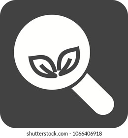Organic Search Icon