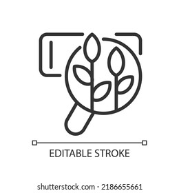 Organic search pixel perfect linear icon. Natural SEO. Relevant content. Unpaid search results. Thin line illustration. Contour symbol. Vector outline drawing. Editable stroke. Arial font used