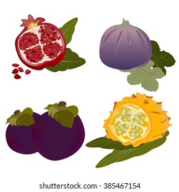 organic set
