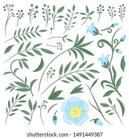 Organic set of plant elements and flowers on a white background.