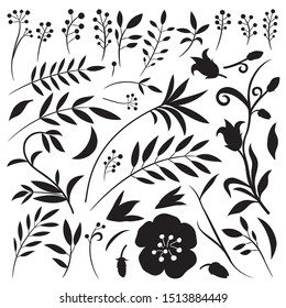 Organic set of plant elements and flowers on a white background.