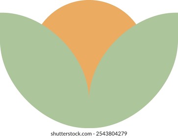 Organic shape flat eco style