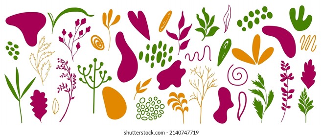 Organic shapes, plants, spots, lines, dots. Vector set of minimal trendy abstract hand drawn isolated elements for graphic design