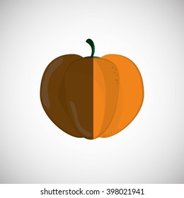 Organic shop design