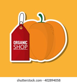 Organic shop design, vector illustration