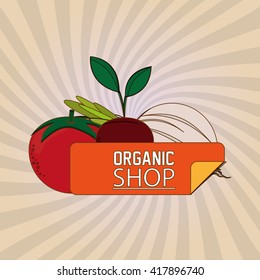 Organic shop design , vector illustration