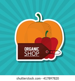 Organic shop design , vector illustration