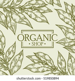 Organic shop leaf vector hand drawn template packaging cosmetic, label, banner, poster, identity, branding. Stylish design with sketch illustration of floral nature branches. care,care organic shop