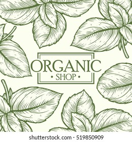 Organic shop leaf vector hand drawn template packaging cosmetic, label, banner, poster, identity, branding. Stylish design with sketch illustration of floral nature branches. care,care organic shop