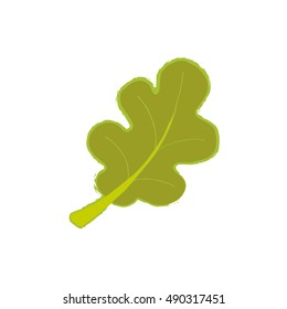 Organic sign (oak leaf). Vector design template. Nature object, Plain flat style. Autumn icon