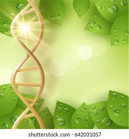 Organic skin care cosmetics vector background with golden dna strand and green leafs with transparent dew drops and shiny sun beams can be used for medical or science concepts. EPS10