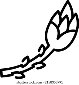 Organic sparrow grass vector line icon design, Condiments and Spices symbol, Food cooking ingredients Sign, Herbs and table sauce stock illustration, Garden asparagus Concept,