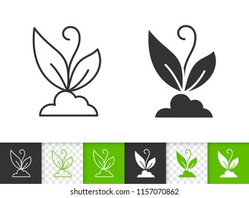 Organic Sprout black linear and silhouette icons. Thin line sign of flower. Eco Plant outline pictogram isolated on white color, transparent background. Vector Icon shape. Sprout simple symbol closeup