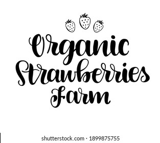 Organic Strawberries farm hand drawn text  for Emblem, Logo, Sign, Badge, label.
Vector logo for Strawberry package of fresh juice or ice cream, price tag with original font.