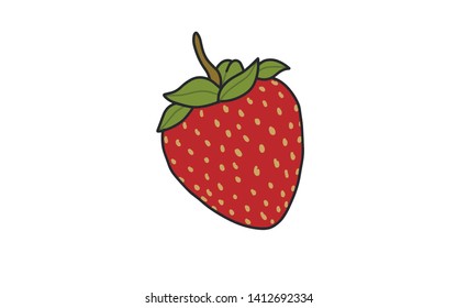 organic strawberry illustration vector full color , food drawings  