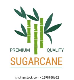 Organic sugar and sugarcane plantation vector planting and production organic plant product natural sweetener food and drink additive or condiment greenery agriculture and industrial cultivation