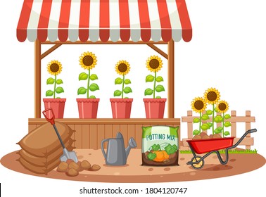 Organic sunflower on the shop illustration