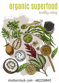 Organic superfood, full color vector realistic sketch poster. Vegan design, moringa, kelp, baobab, coconut oil, quinoa seeds, chia.