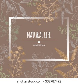 Organic tea label decorated with hand drawn herbs. Great for tea label design, traditional medicine, or gardening. 