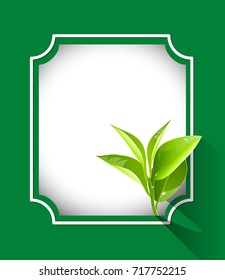 Organic tea leaves frame  vectors