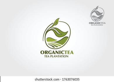 Organic Tea Plantation Vector Logo Template. A nice of tea related illustration that may use for logos or packaging designs. 