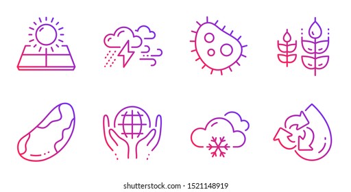Organic tested, Gluten free and Bad weather line icons set. Snow weather, Bacteria and Brazil nut signs. Sun energy, Recycle water symbols. Safe nature, Bio ingredients. Nature set. Vector