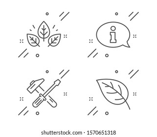 Organic tested, Information and Hammer tool line icons set. Leaf sign. Bio ingredients, Info center, Repair screwdriver. Environmental. Business set. Line organic tested outline icon. Vector