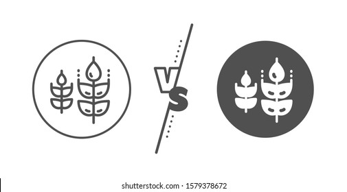 Organic tested sign. Versus concept. Gluten free line icon. Natural product symbol. Line vs classic gluten free icon. Vector