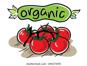 Organic tomato vector illustration