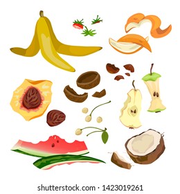 organic trash from fruit and nuts. vector illustration