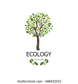 Organic tree with leaves on a white background, vector.