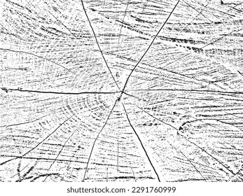 Textura orgánica y vectorial única de la madera aserrada con grietas y círculos. Perfecto para diseños vintage, rústicos y abstractos como superposición, plantilla o plantilla