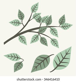 organic. Vector badge with green decorative leaves