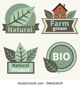 organic. Vector badge with green decorative leaves