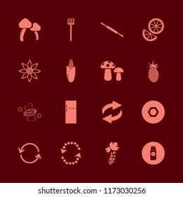 organic vector icons set. with nut, soap, pack milk and sunflower in set