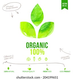 Organic vector label. Natural product design elements. Healthy food illustration. Eco friendly Icon set.