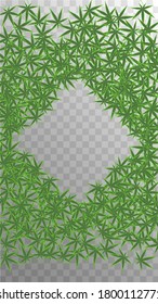 Vector orgánico. Patrón de Hemp Médico. Ilustración de la Agricultura Amarilla.  Concepto Hashish. Fondo de hierba verde.  Resumen Vector Orgánico. Papel de fondo de Cannabis blanco. 