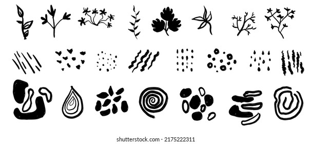 Organic vector set of plants, spots, shapes