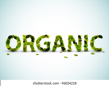 Organic - vector word made from fresh green leafs on a blue background