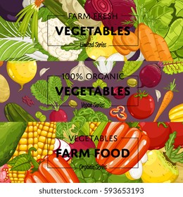 Organic vegetable farming flyers set vector illustration. Natural growing vegetable, vegan retail, product store poster. Healthy farm food advertising with patison, cucumber, cabbage, tomato, pepper