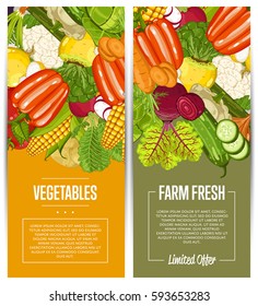 Organic vegetable farming flyers set vector illustration. Locally grown vegetable, vegan retail, natural product. Healthy farm food advertising with broccoli, potato, corn, cabbage, tomato, radish