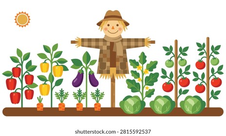 Organic vegetable patch showing tomatoes and peppers and eggplants growing. Cute scarecrow standing in middle of home garden with sun in background.