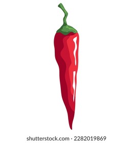 organic vegetable and spices chili icon isolated