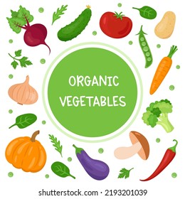 Organic Vegetables Banner Template With Different Farm Fresh Vegetables And Herbs. Farmers Market Or Food Festival Flyer Template. 