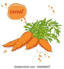 organic vegetables carrots