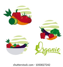 Organic vegetables cartoon