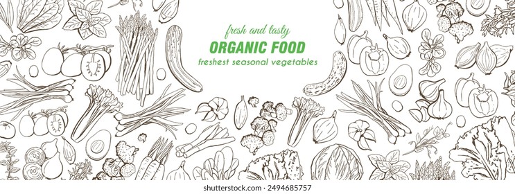 Organic Vegetables Organic Food Frame Vector Illustration