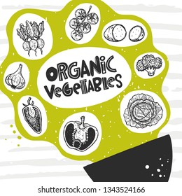 Organic vegetables. Hand-lettering phrase. Ink vector illustration for poster, cafe, street festival, farmers market, local shop, restaurant, farm design. Cabbage, pepper, radish, potato, tomatoes